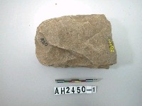 藏品(大型打製石斧殘件)的圖片
